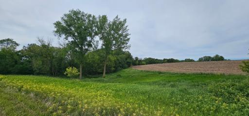 34108 310th Street, Lanesboro, MN 55949