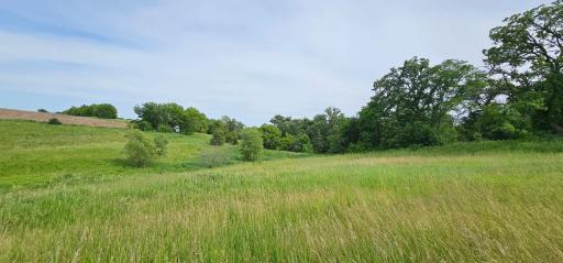 34108 310th Street, Lanesboro, MN 55949