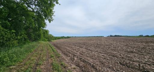 34108 310th Street, Lanesboro, MN 55949