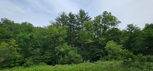 34108 310th Street, Lanesboro, MN 55949