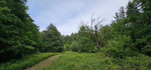 34108 310th Street, Lanesboro, MN 55949