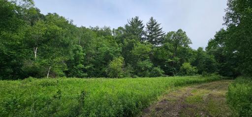 34108 310th Street, Lanesboro, MN 55949