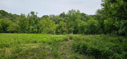 34108 310th Street, Lanesboro, MN 55949