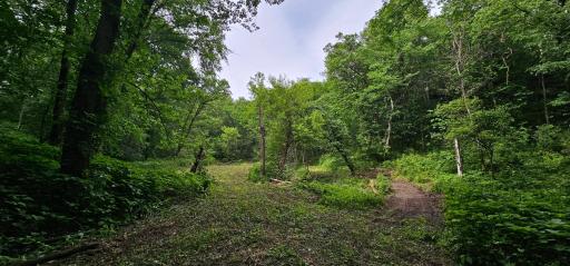 34108 310th Street, Lanesboro, MN 55949