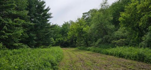 34108 310th Street, Lanesboro, MN 55949