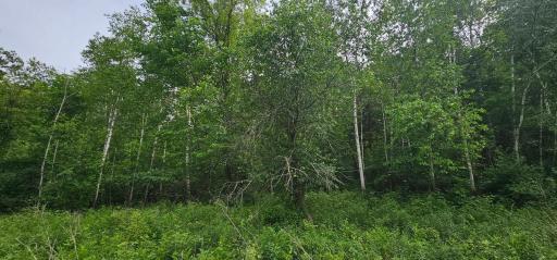 34108 310th Street, Lanesboro, MN 55949