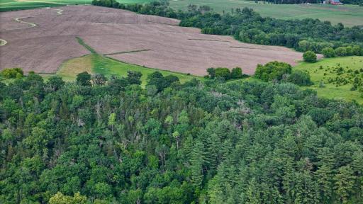 34108 310th Street, Lanesboro, MN 55949