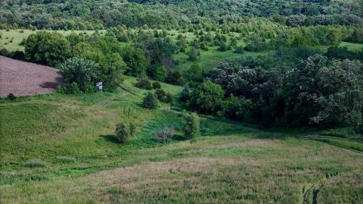 34108 310th Street, Lanesboro, MN 55949
