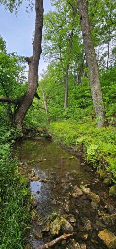 34108 310th Street, Lanesboro, MN 55949