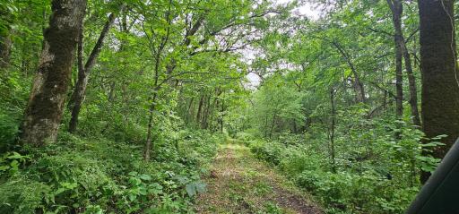 34108 310th Street, Lanesboro, MN 55949