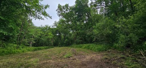 34108 310th Street, Lanesboro, MN 55949