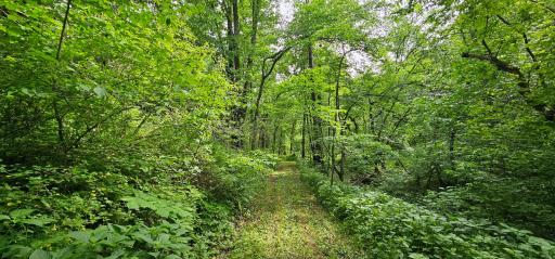 34108 310th Street, Lanesboro, MN 55949