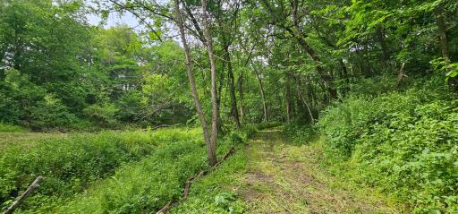 34108 310th Street, Lanesboro, MN 55949