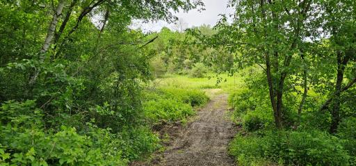 34108 310th Street, Lanesboro, MN 55949