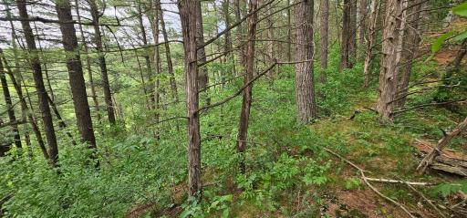 34108 310th Street, Lanesboro, MN 55949