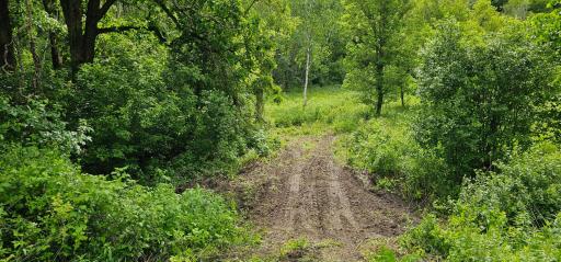 34108 310th Street, Lanesboro, MN 55949
