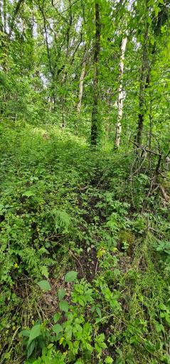 34108 310th Street, Lanesboro, MN 55949