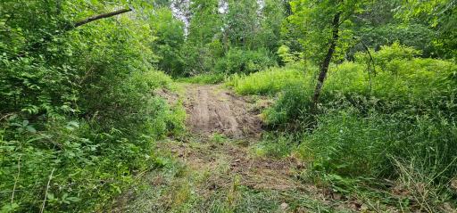 34108 310th Street, Lanesboro, MN 55949