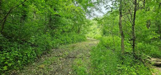34108 310th Street, Lanesboro, MN 55949