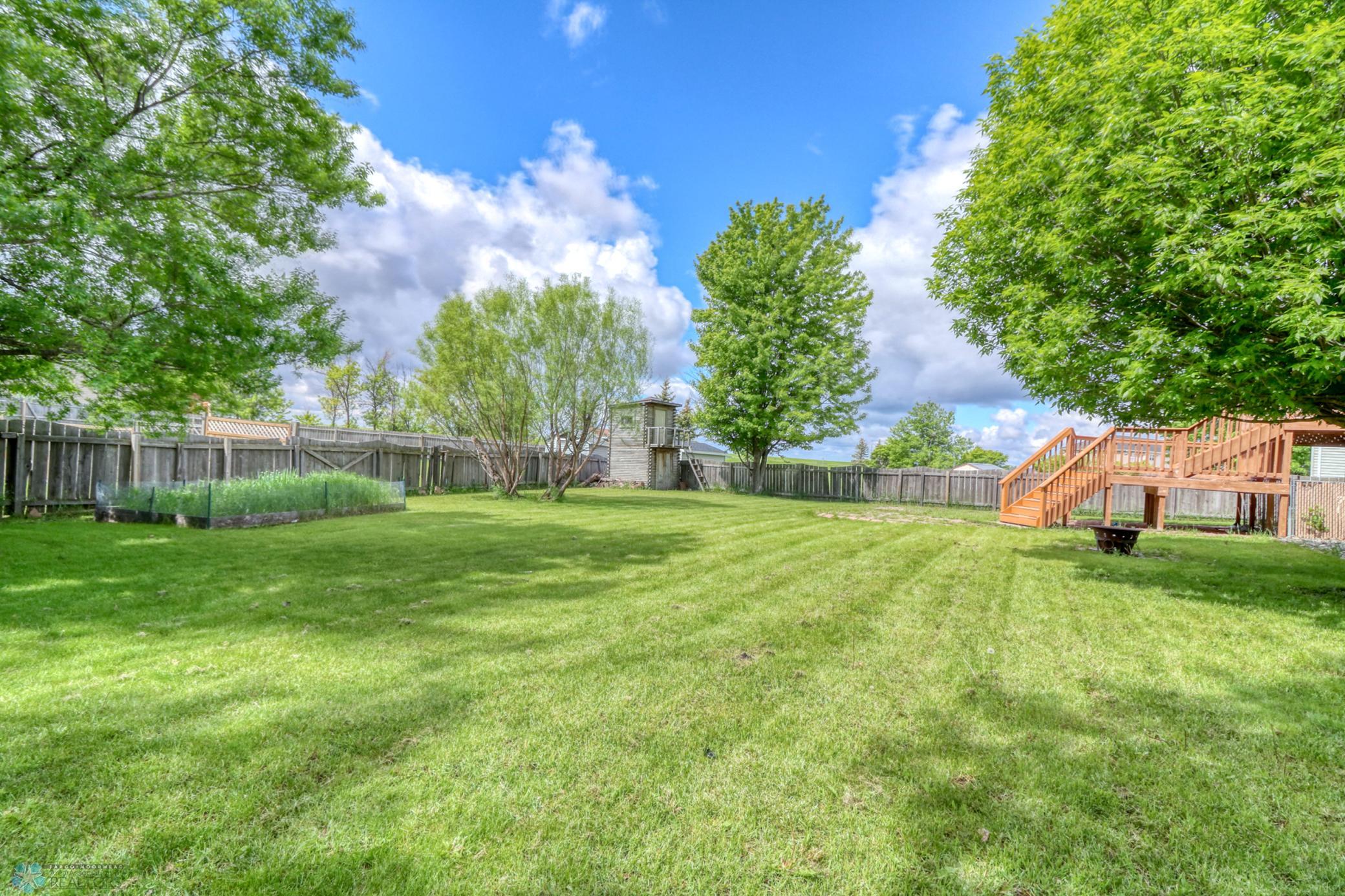 Backyard1_0.jpg
