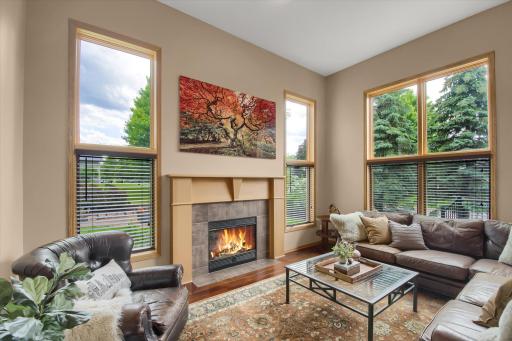 The main level family room is going to be your favorite room! Updated gas fireplace insert, views of the backyard, and vaulted ceilings.