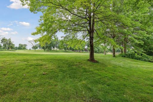 18002 Bearpath Trail, Eden Prairie, MN 55347