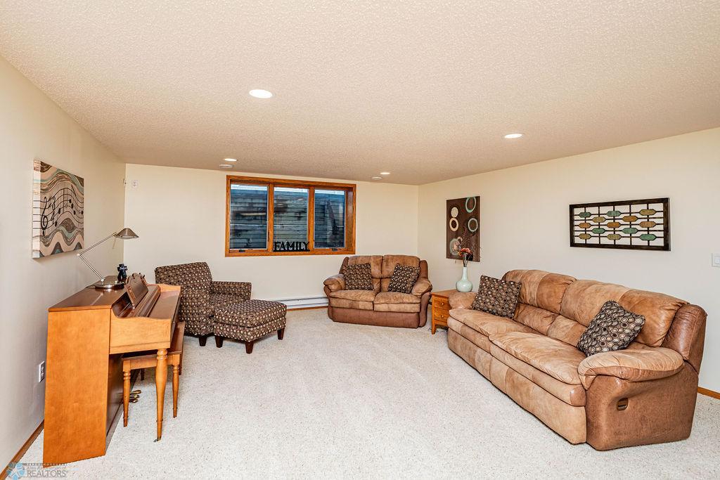 Downstairs Family Room