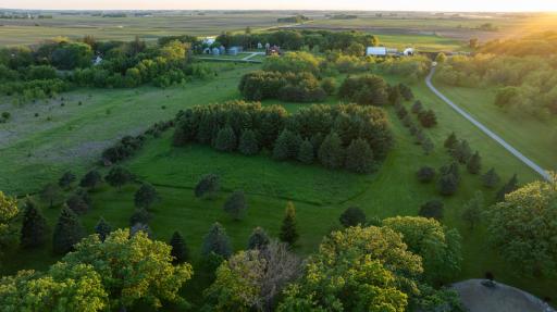 33196 875th Avenue, Blooming Prairie, MN 55917