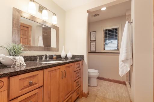 1535 Bavarian Shores Drive, Chaska, MN 55318