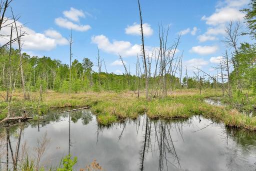 64980 Partridge Drive, Askov, MN 55704
