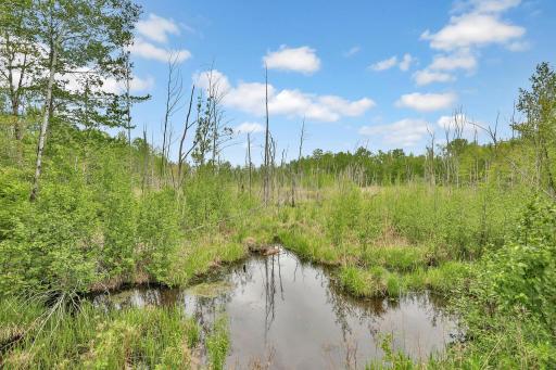 64980 Partridge Drive, Askov, MN 55704