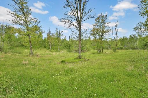64980 Partridge Drive, Askov, MN 55704