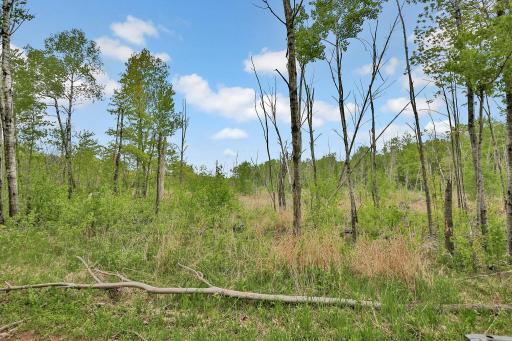 64980 Partridge Drive, Askov, MN 55704