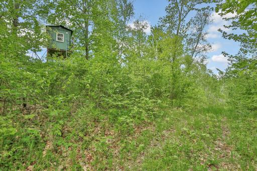 64980 Partridge Drive, Askov, MN 55704