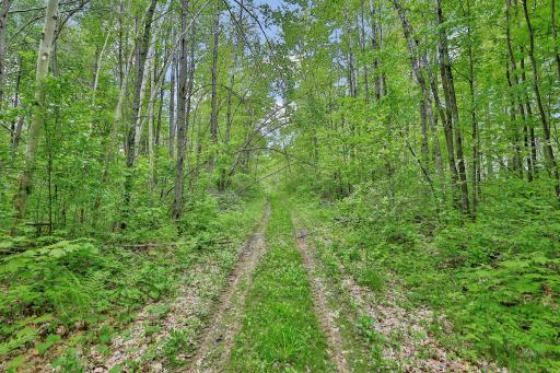 64980 Partridge Drive, Askov, MN 55704