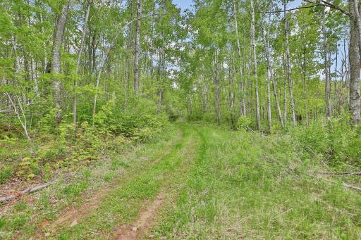 64980 Partridge Drive, Askov, MN 55704