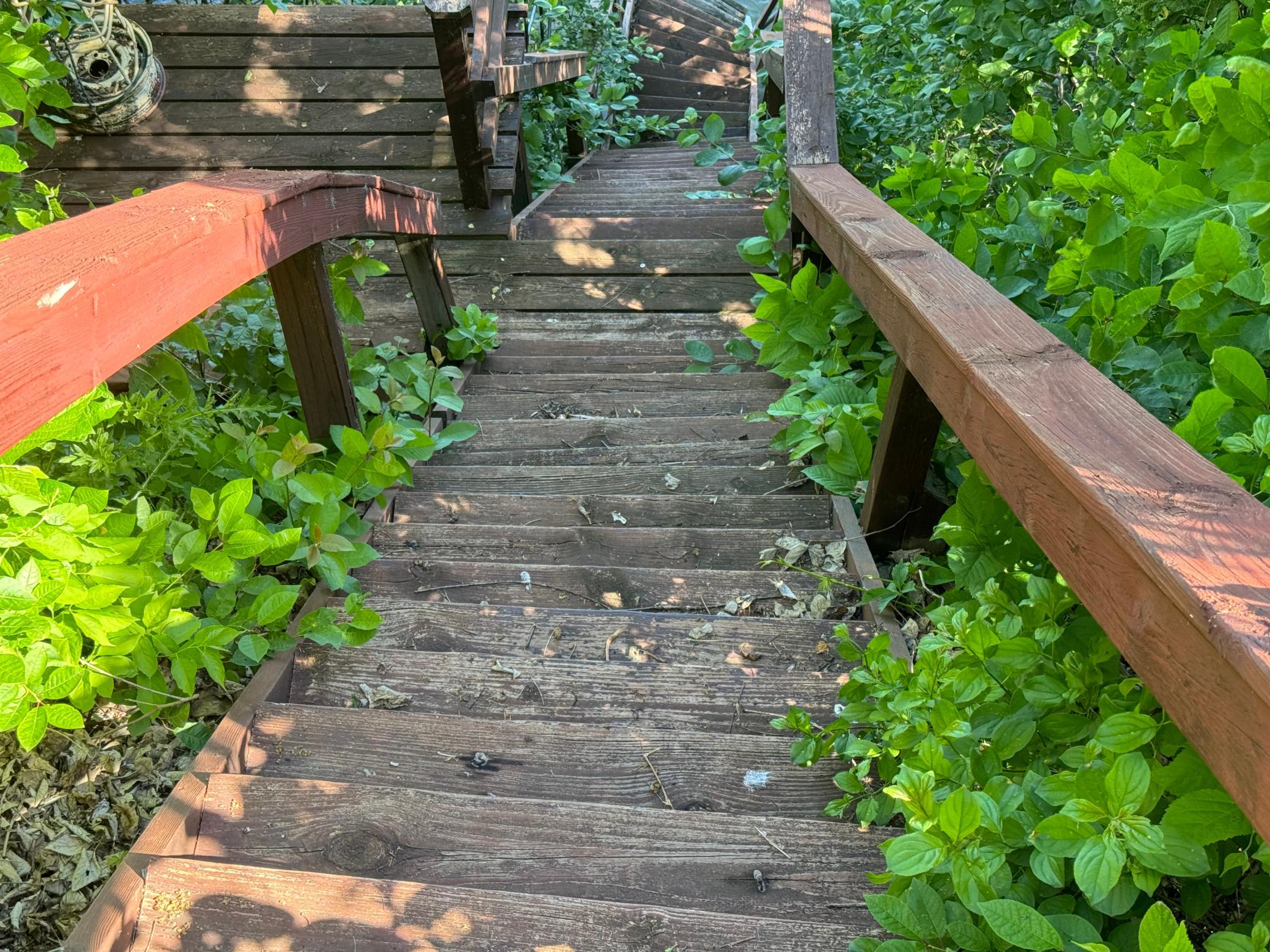 Lake Steps