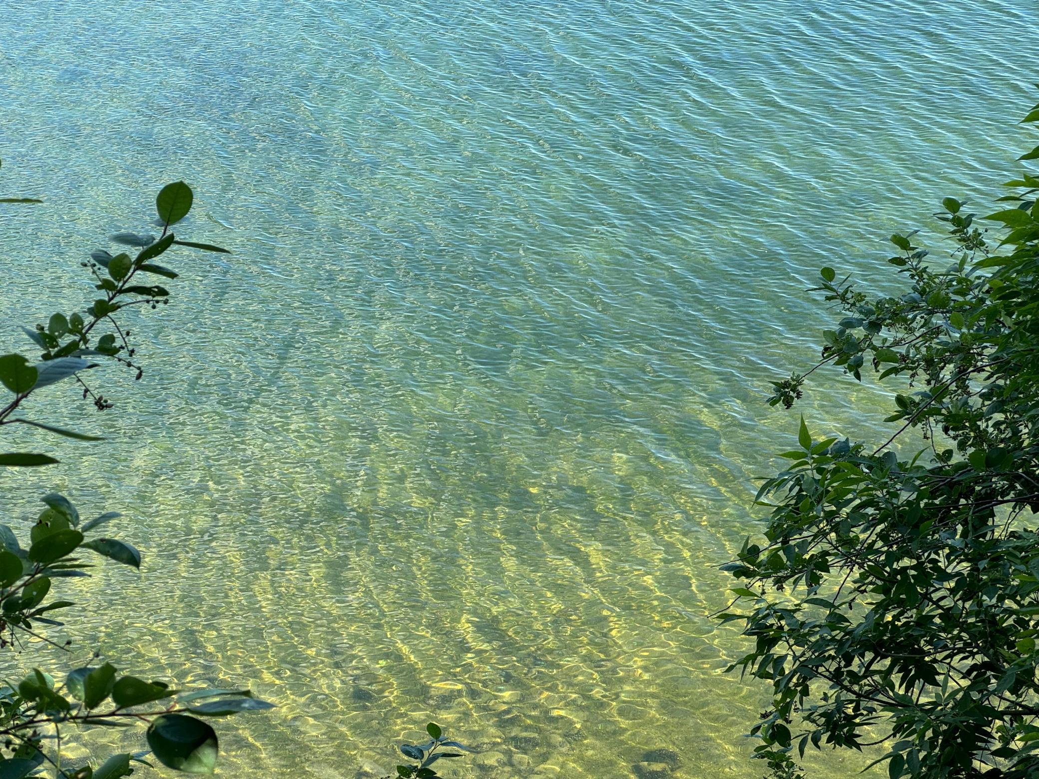 IMG_6473.jpeg
