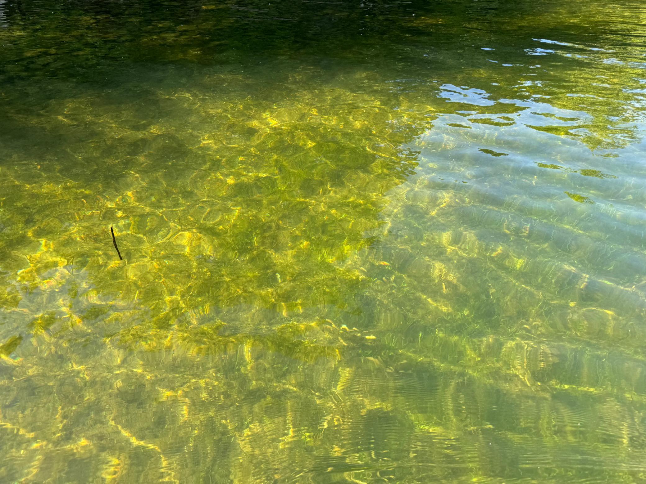 Usable swimming