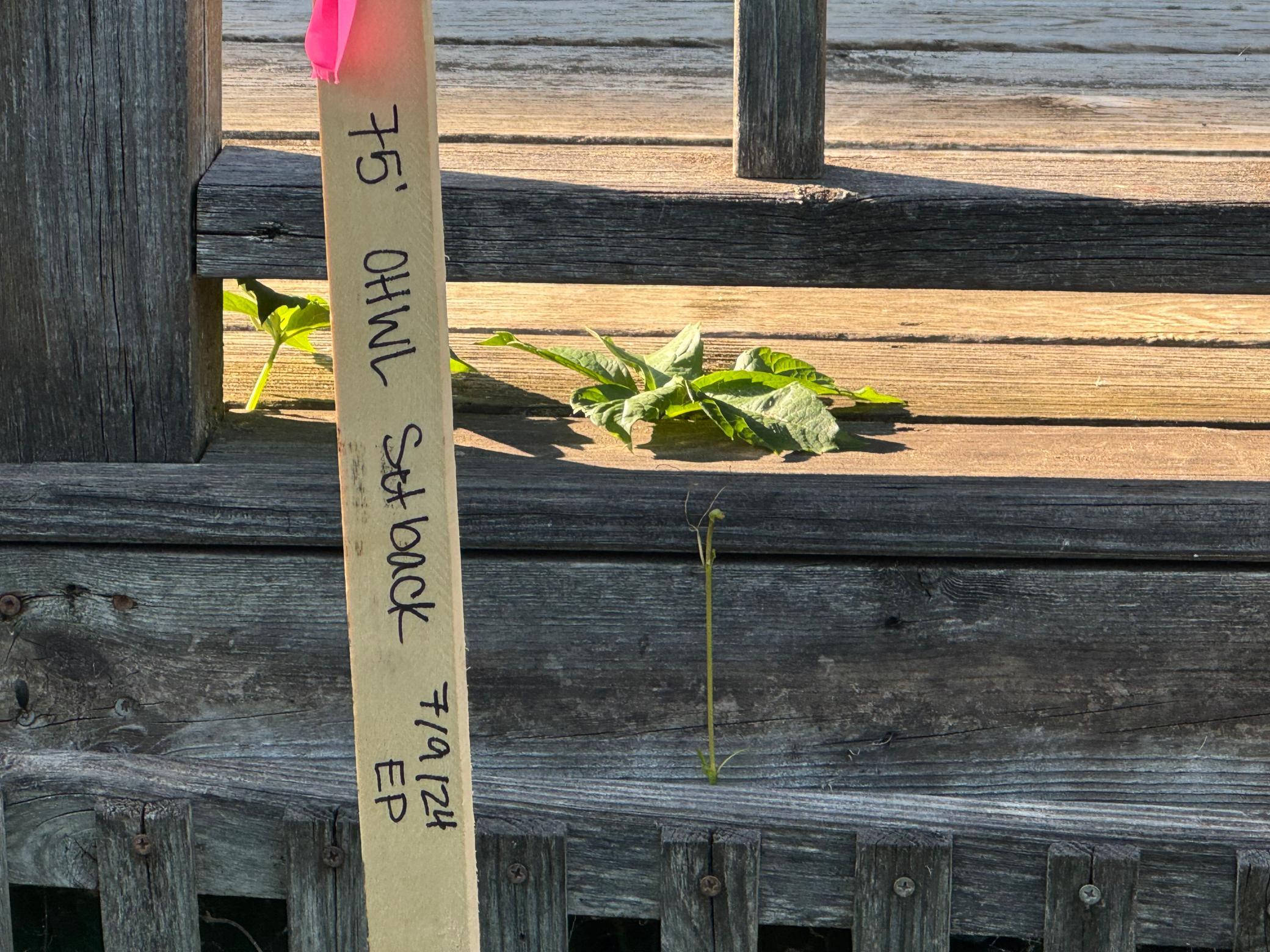 Setback markings placed by county