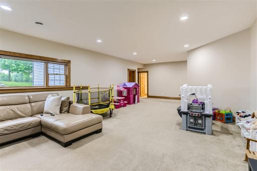 10765 Trail Haven Rd - Web Quality - 023 - 35 Lower Level Family Room.jpg