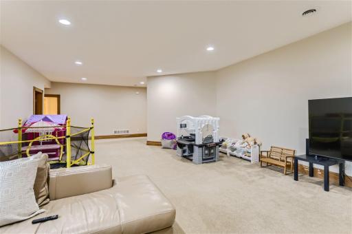 10765 Trail Haven Rd - Web Quality - 024 - 36 Lower Level Family Room.jpg