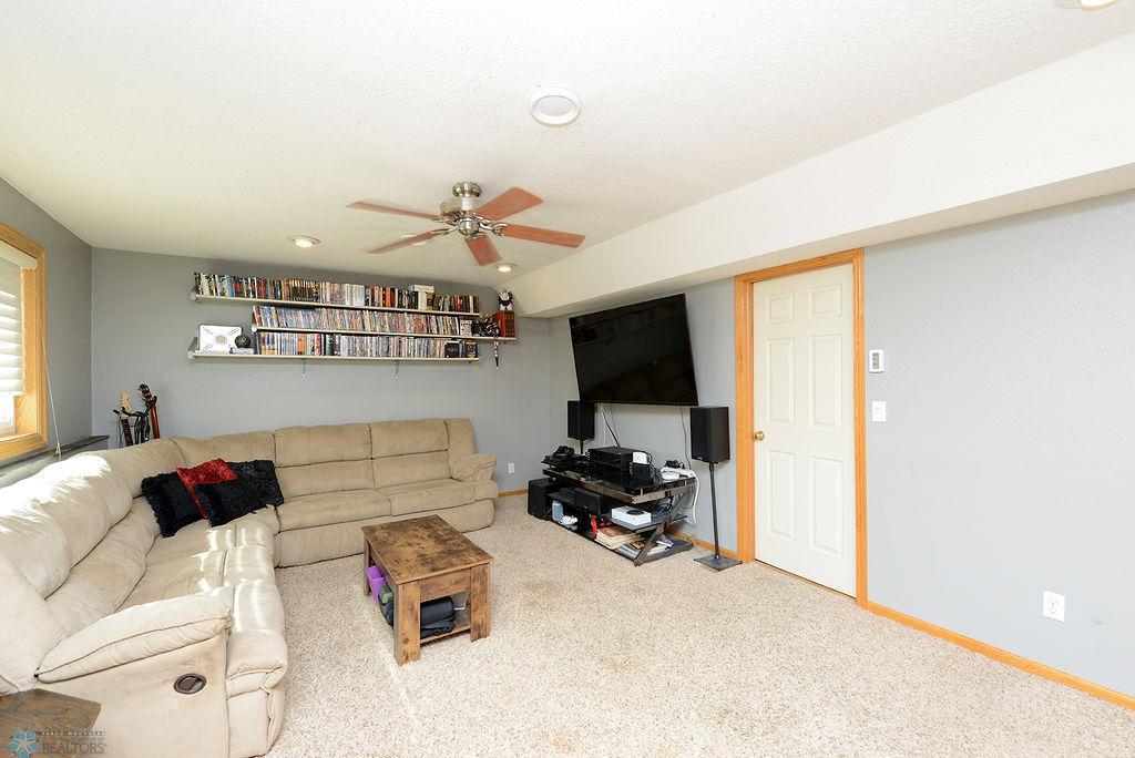 Lower Living Room