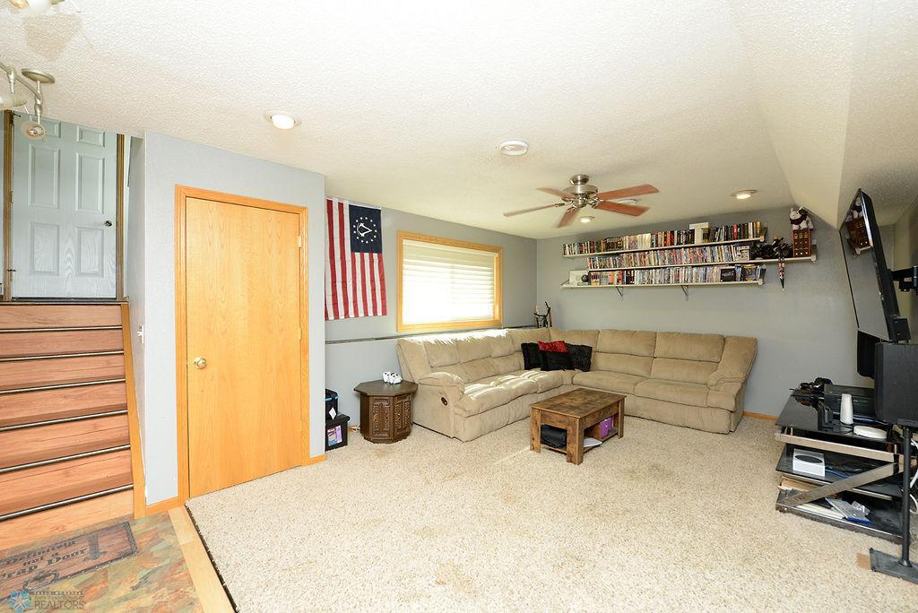 Lower Living Room 2