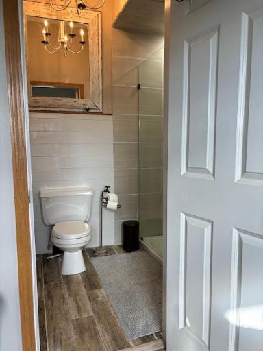 Master suite private toilet and new custom walk-in shower.