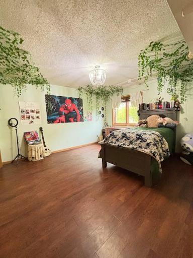 Spacious lower level bedroom with large window facing the backyard.