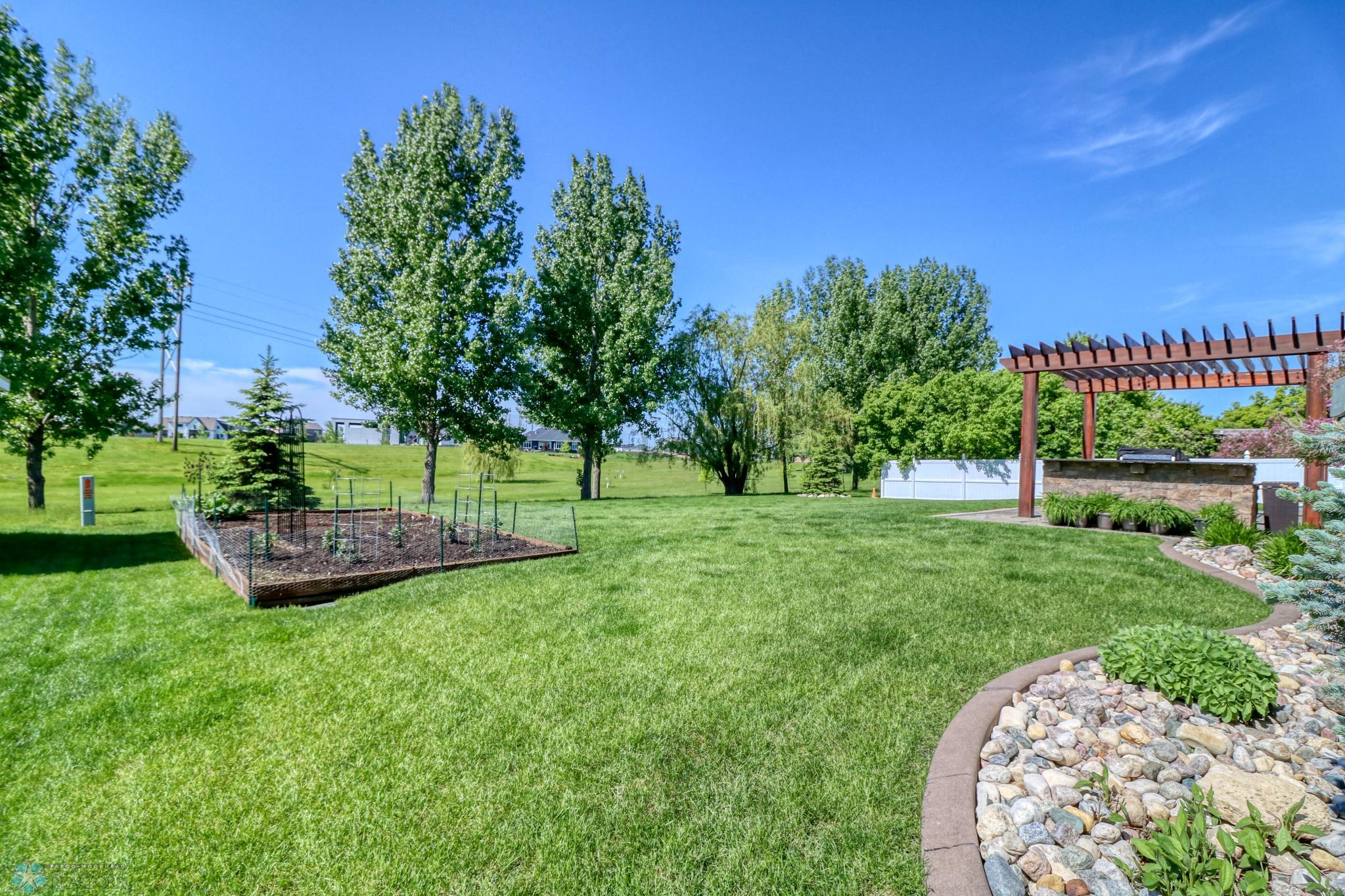 Backyard1_4.jpg