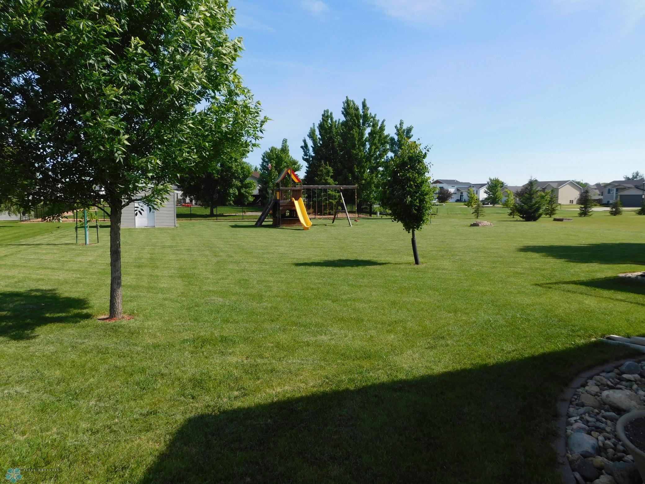 back yard