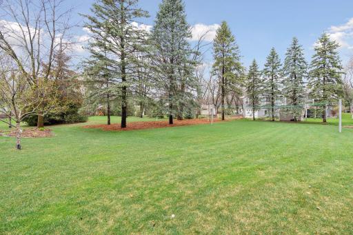 Expansive flat backyard with gorgeous large pines and plenty of space for play-set and yard games