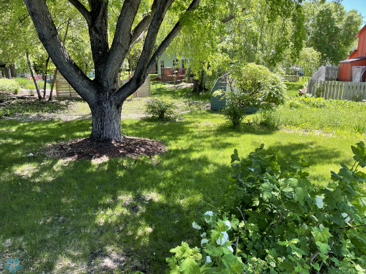 Big yard is 11,698 sq. ft. (0.27 acre)